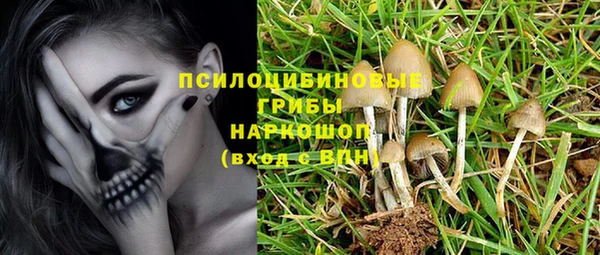прущая мука Алзамай
