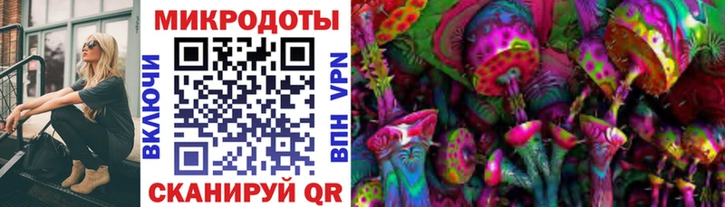 Псилоцибиновые грибы Cubensis Елизово